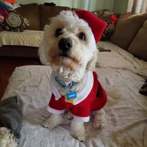 Meet your Posher, Karina